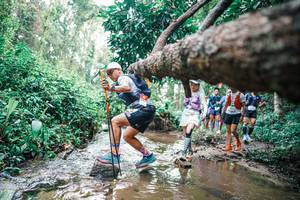 BIB: 
                            <button type="button" onclick="openModal(25373081)" class="btn btn-primary btn-sm float-right btn-popup" data-toggle="modal" data-target=".modal-high-quality">
                        <i class="fas fa-shopping-cart"></i> Add to Cart
                    </button>
                                            <button type="button" onclick="isThisMe(25373081, true)" class="btn btn-success btn-sm float-right btn-popup btn-isme hidden" data-toggle="tooltip" data-placement="bottom" title="นี่คือรูปของคุณใช่ไหม คลิกที่นี่เพื่อเอาเข้าอัลบั้ม">
                        <i class="fas fa-plus"></i> Add to album
                    </button>
                    <button type="button" onclick="isThisMe(25373081, false)" class="btn btn-warning btn-sm float-right btn-popup btn-isnotme hidden">
                        <i class="fas fa-ban"></i> Remove from album
                    </button>